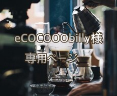 eCOCOOObilly様専用ページでございます 〜専用ページ＊迅速・丁寧に対応致します〜