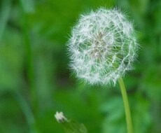 質問5つ鑑定します イメージ1