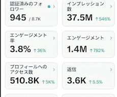 X収益化500万インプ達成代行します X運用代行100件超のプロが500万インプ達成を完全代行