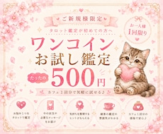 初めての方限定⌇500円でお試し鑑定します 占い初めてでも安心！恋愛・仕事・人間関係なんでもok✨