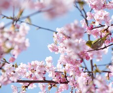 お話聞きます イメージ1