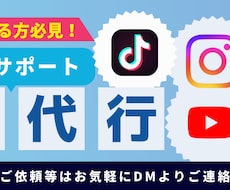 採用・集客に強いSNS運用を戦略から代行します イメージ1