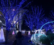 今のあなたに必要なメッセージをお届けします⭐︎あなたが光輝くために⭐︎ イメージ1