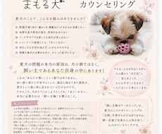 飼い主さん自身の軸を整えるお手伝いをいたします イメージ1