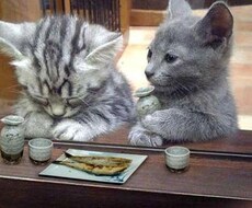 サンドバッグお貸しします イメージ1
