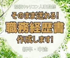 そのまま送れる！職務経歴書を作成しますます イメージ1