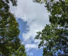 仕事の不満、子育ての悩みや愚痴、お聞きします イメージ1