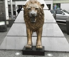 新宿で飲み歩いている私がおすすめのお店教えます 幹事さん必見新宿で飲み会があるなら、お店選びお任せください！