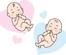 赤ちゃんの性別を診断します イメージ1