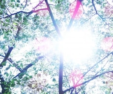 未来に向いたい方★現状鑑定しアドバイスします 誰にも言えずに悩んでいる気持ちをお聞きします。