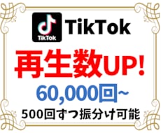 TikTok再生回数+60000増加まで集客します ティックトック再生数が増えるまで宣伝・拡散✨振分け無料