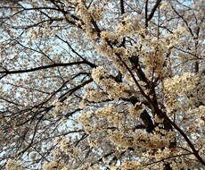 悩みやお話もお聞きしてお役に立ちたいと思います イメージ1