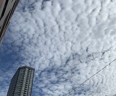 皆様がお撮りした写真を編集、修正致します