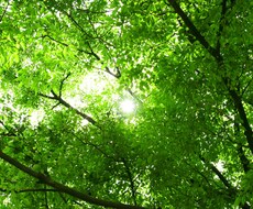 でも、だって…一歩のきっかけ探しのお手伝いします イメージ1