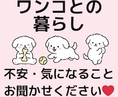 ワンコ×1人暮らしの方❣︎暮らしの相談のります 1人暮らしのワンコの飼い主さん向け⋈お悩みありませんか？
