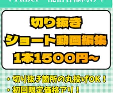 丸投げOK！切り抜きショート動画作ります イメージ1