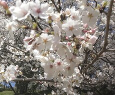 とりあえず話してみませんか？チカラになります イメージ1
