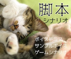 脚本、承ります イメージ1