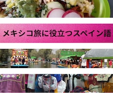 メキシコ旅行初心者必見！役立つスペイン語教えます 不安ゼロでワクワク！メキシコ旅行必須フレーズを楽しく習得