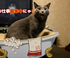 納期2日以内でYouTube動画編集請け負います