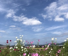 今悩んでいて解決したい事などがあればお聴きします イメージ1