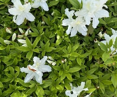 あなたの心の拠り所になります イメージ1