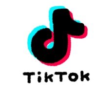 TikTok1ヶ月でフォロワー100人増やします イメージ1