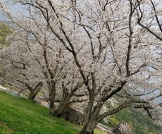 子育ての相談のります イメージ1
