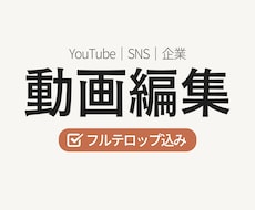 YouTube・SNS等｜動画編集承ります イメージ1