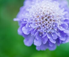 人には言えない恋愛の悩みをメール鑑定いたします イメージ1