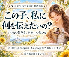 ペットの気持ちを霊視し、その子の言葉でお伝えします いつもの仕草や家族への想い、旅立った子の気持ちも読みます