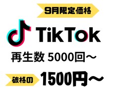 TikTok再生数+5000～拡散します イメージ1