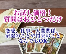 お試し価格！どんなことでもおひとつ占います 質問はおひとつだけ。恋愛でも仕事でも家族のことなど