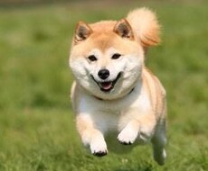 話し相手をお探しの方へ、お時間差し上げます イメージ1