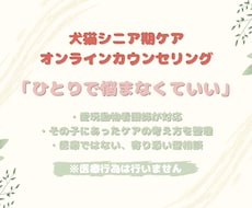 大切なその子と向き合う シニア期ケア相談をします その子のために頑張るあなたの、心を整える時間