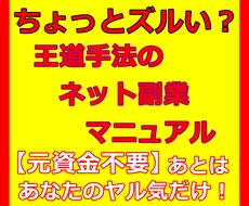 ネット副業を少ないリスクで実践する方法を教えます イメージ1