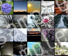 写真を計100枚著作権フリーでご提供します イメージ1