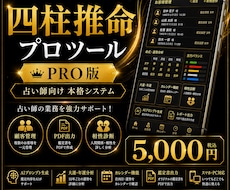 四柱推命プロツールを販売します 占い師向け本格鑑定支援システム