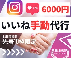 Instagramいいね代行完全手動で行います インスタグラムいいね週7日稼働1ヶ月間代行★10枠限定特価
