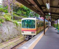 TVでやらない夜の鎌倉の情報をお届けします イメージ1