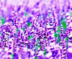 貴方様のお悩みお伺い致します イメージ1