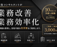 現役コンサルが業務改善・効率化のお悩みを解決します 現場に寄り添った、実現できる改善策をご提案します。