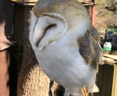 何でもお話し聞きます イメージ1