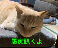 あなたの愚痴を訊いた上で、あなたを褒めます イメージ1