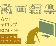 YouTube動画・その他動画の編集いたします イメージ1