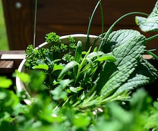 スーパーの食材だけ！初心者向け薬膳酒づくり教えます 季節の不調対策や毎日の健康習慣に薬膳知識がなくても始められる