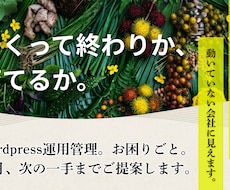 WordPressを更新・運用管理します イメージ1