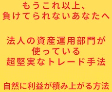 法人の資金を運用しているトレード手法を教えます 確かなトレード技術を身に付けて経済的自立を目指したい方へ