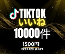 TikTokいいね＋10,000数～増やします Tiktok投稿宣伝します!!いいね増加確実!!