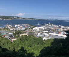 心の声、叫びをしっかり聞きます イメージ1
